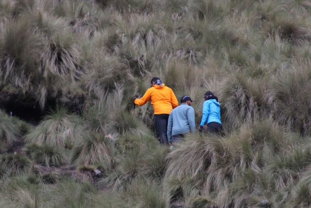 montando montañas