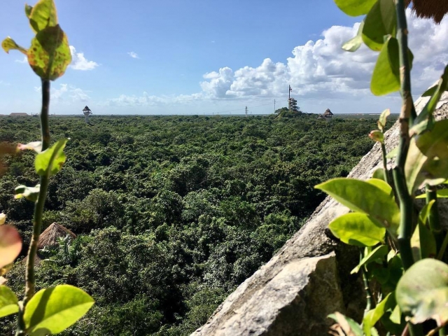 Conoce la selvas de cancun 