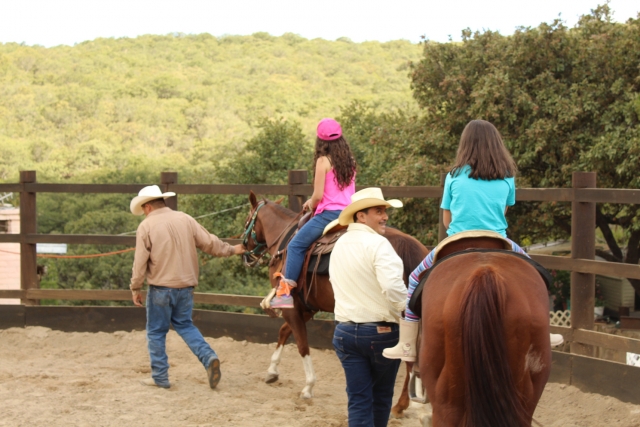 enchufe con caballos