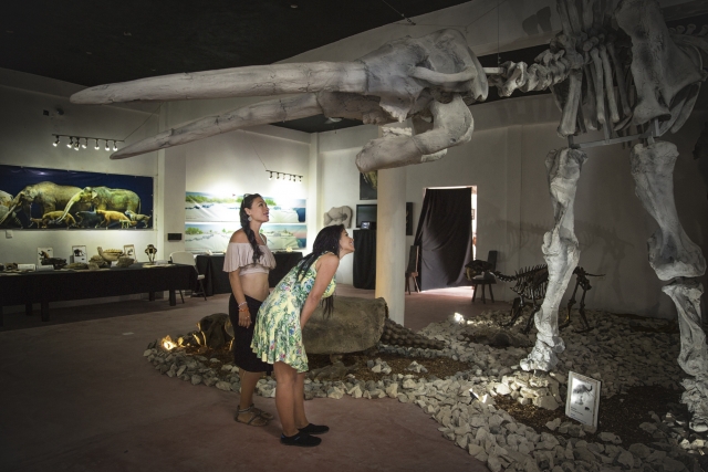 Museo
