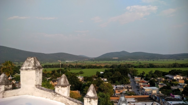 Visita guiada 