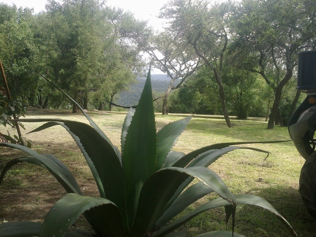 Recorrido por el parque ecoturistico