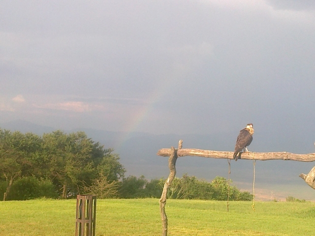 Desde la cima de Jalisco