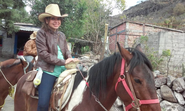 Elije el caballo que quieras.