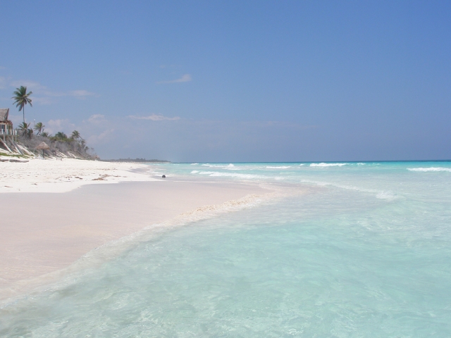 Camina en el paraiso