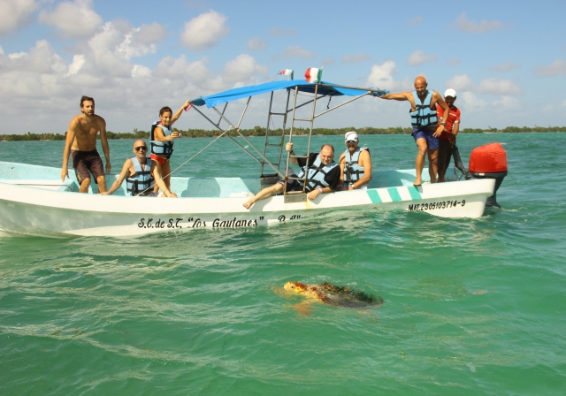 admirar tortugas