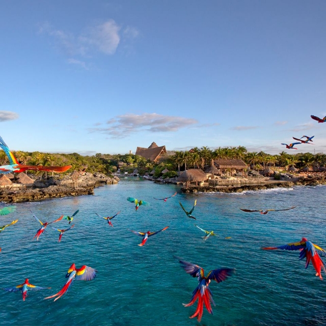 Visita xcaret