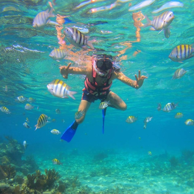Snorkel en la playa de xcaret