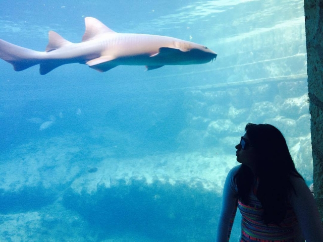 Especie marina espectacular