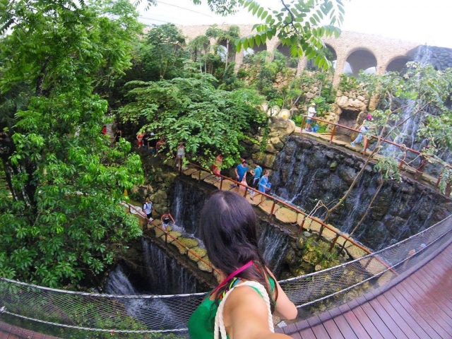 Recorrido por el parque