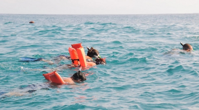 Observando especiererererereres marinas