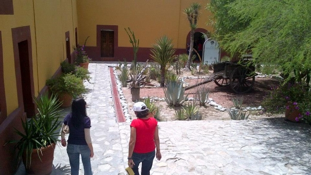 Paseo guiado