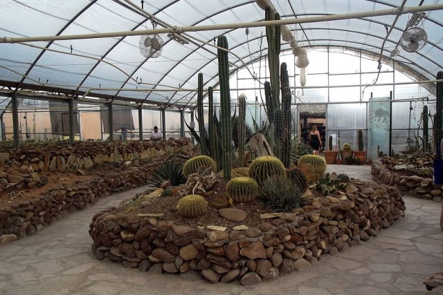 Paseo por el museo de saltillo