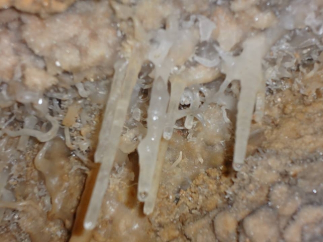 Interior de la cuevas