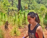 Senderismo a Monte Alto en Valte de Bravo, 2.5 horas
