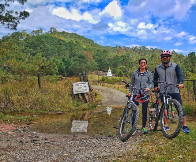 Recorrido en bici guiado
