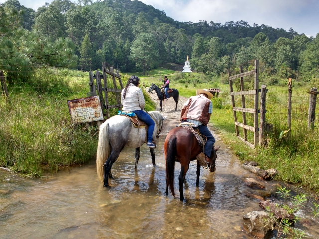 Recorrido a la stupa