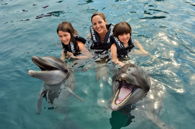 Conociendo a los delfines 