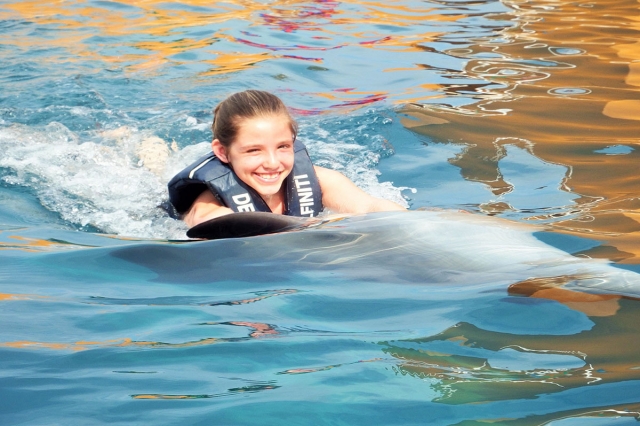 Nado con delfines 