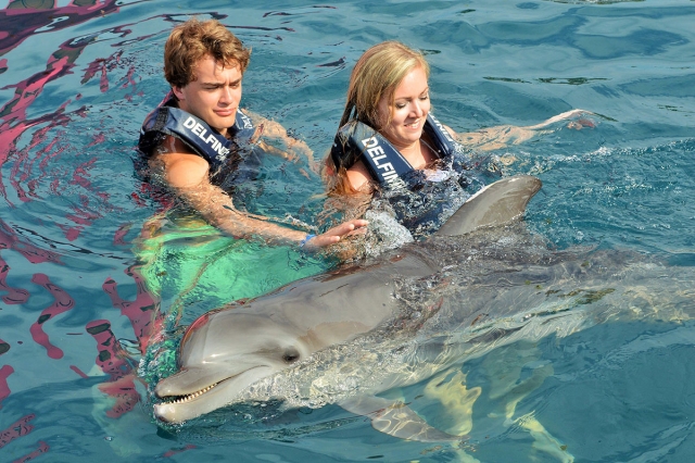 Vistando a los delfines en zihuatanejo