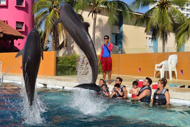 Interaccion con delfines