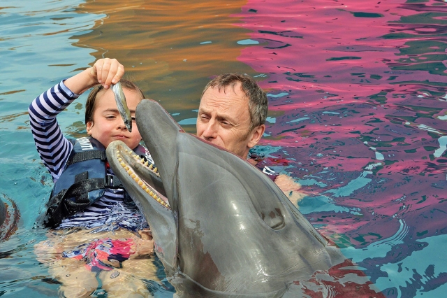 Alimentando a los delfines