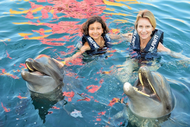 Nada con los delfines en famila