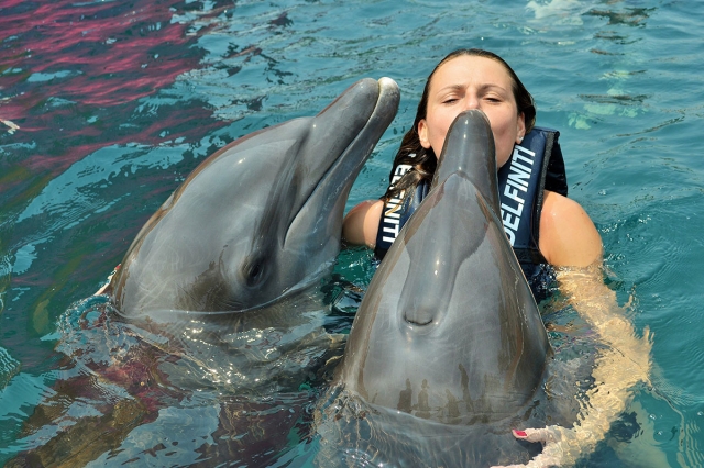 Nado con delfines en pareja