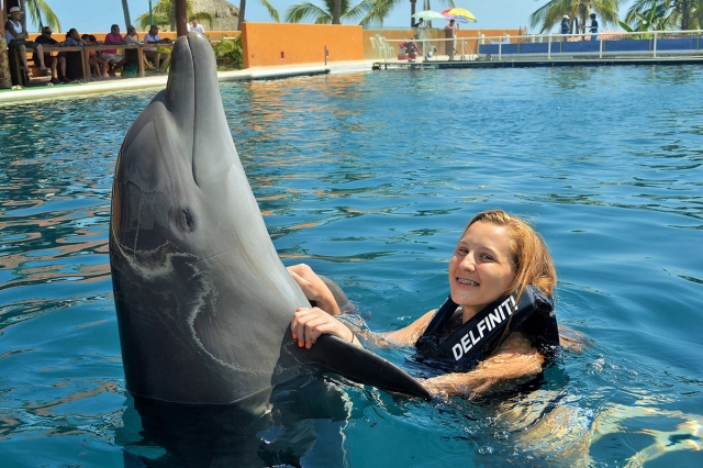 Interaccion con delfines 