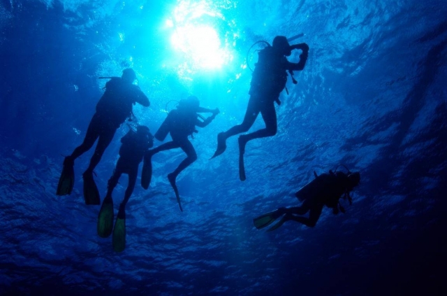 Comienza tu curso de buceo 