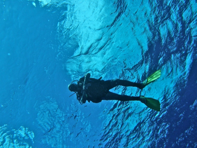 Perfeccionando la tecnica de buceo