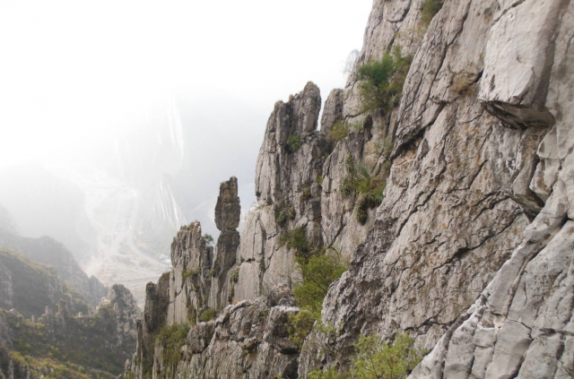 Senderismo por la sierra madre oriental