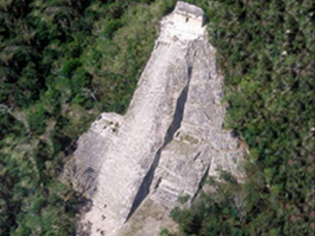 Visita guiada a coba