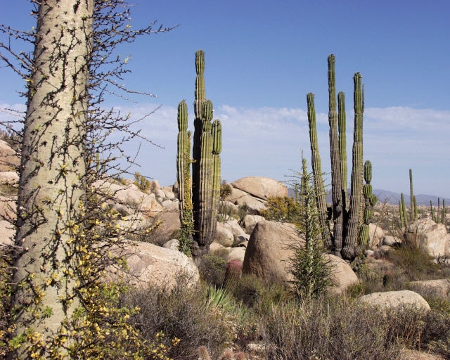 Recorrido por el desierto