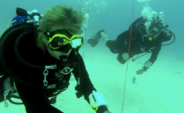 Curso Dive master en playa del carmen