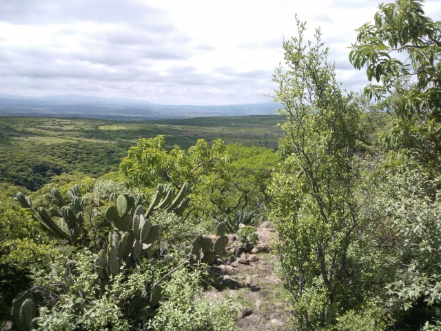 Conoce la naturaleza