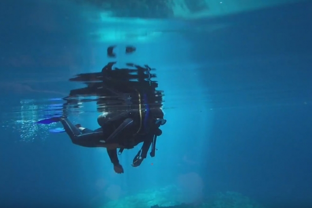 Se un maestro en el buceo
