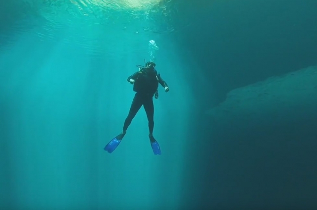 Gestiona los movimientos