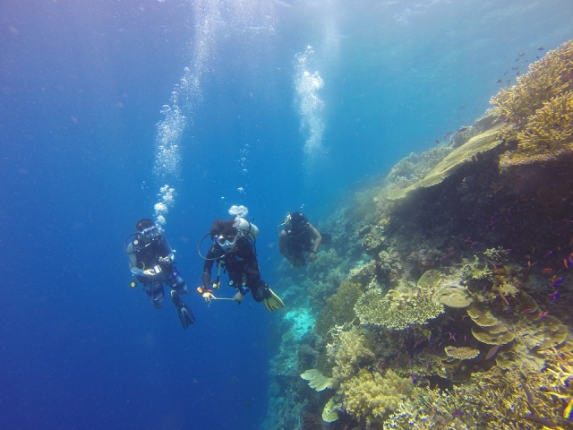 Buceo en grupo