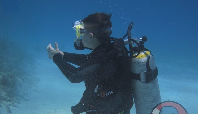 Bucea en lo profundo