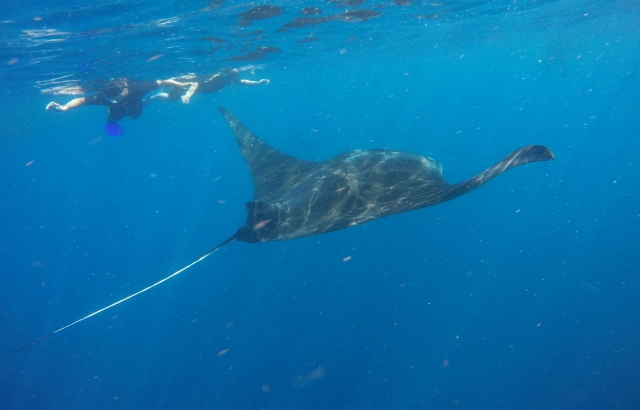 Puedererererereres verlo mejor