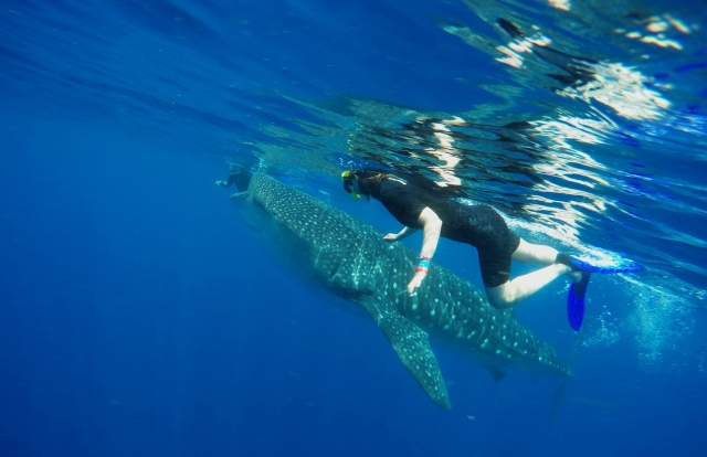 Sorprendente instantanea