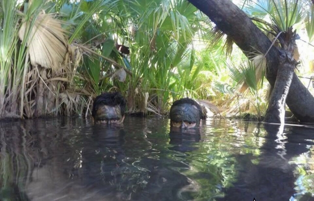 Disfruta de las aguas termaleres