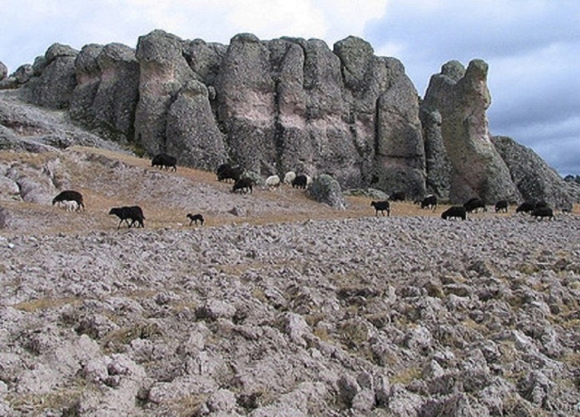 Ganado en el valte