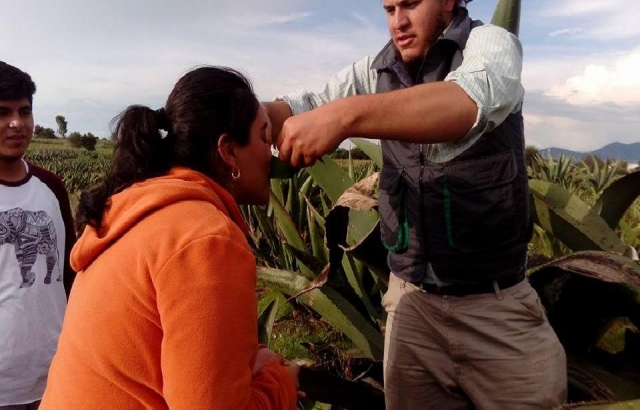 Prueba el mezcal