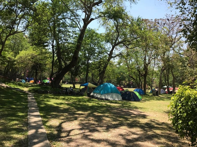 Trae tu tienda para acampar