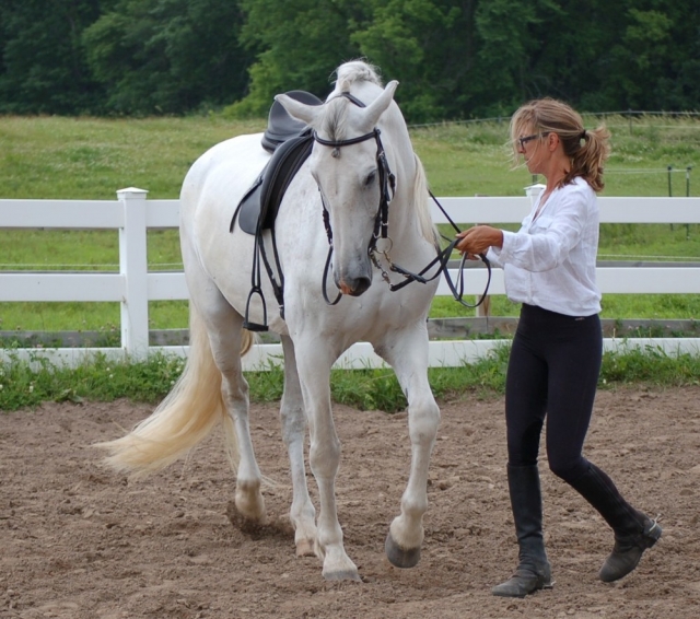 Atendiendo al caballo
