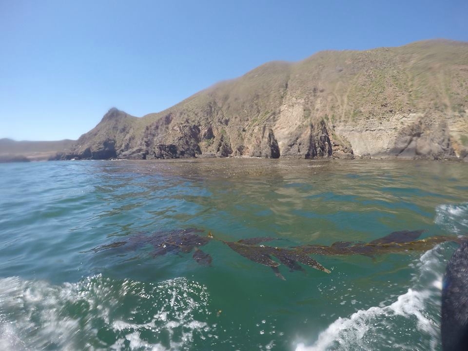 Contempla la Bahía