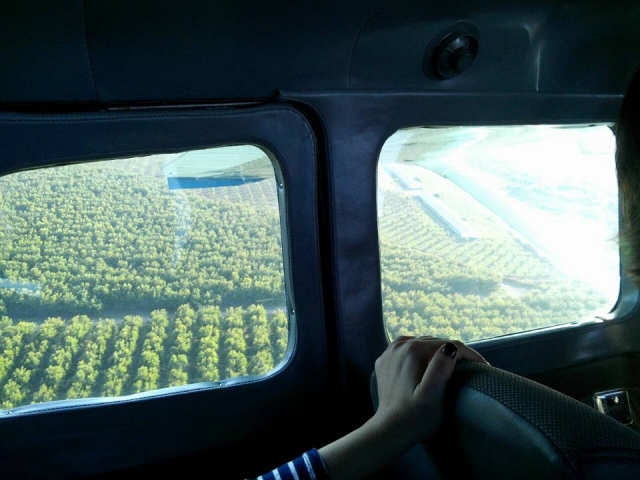 dentro del avión