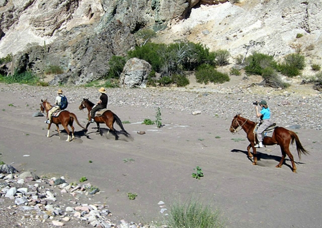 Visita guiada a caballo playa y montaña por BCS